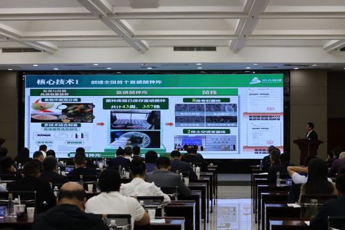 2025企創融通匯富硒產業專題現場活動成功舉辦，信息技術咨詢服務賦能產業升級